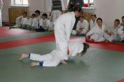 Дзюдо-2005