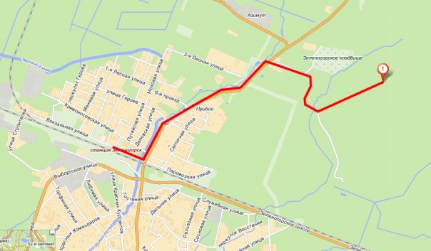 СлингоРогейн - 2011