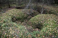 Финская береговая артиллерия на Сатаманиеми