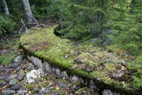 Финская береговая артиллерия на Сатаманиеми